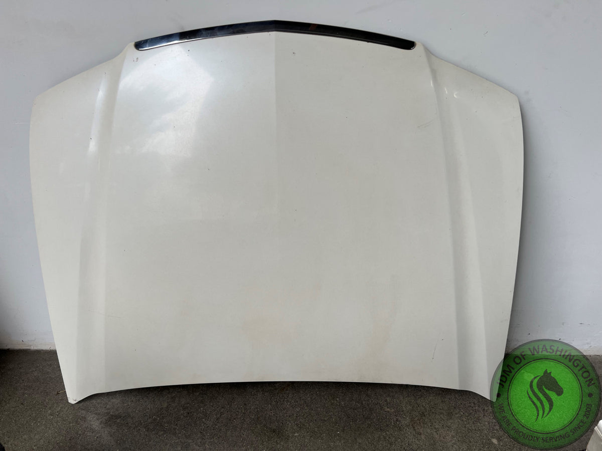 JDM 2004-2008 ACURA TSX COMPLETE WHITE FRONT END CONVERSION